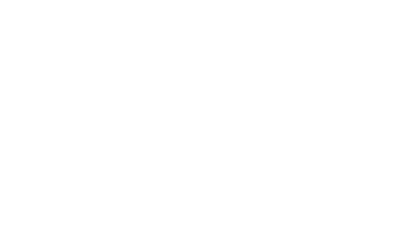 Logo TRIGON